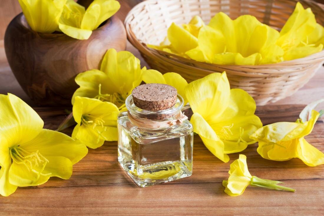 فواید روغن گل غربی چیست؟