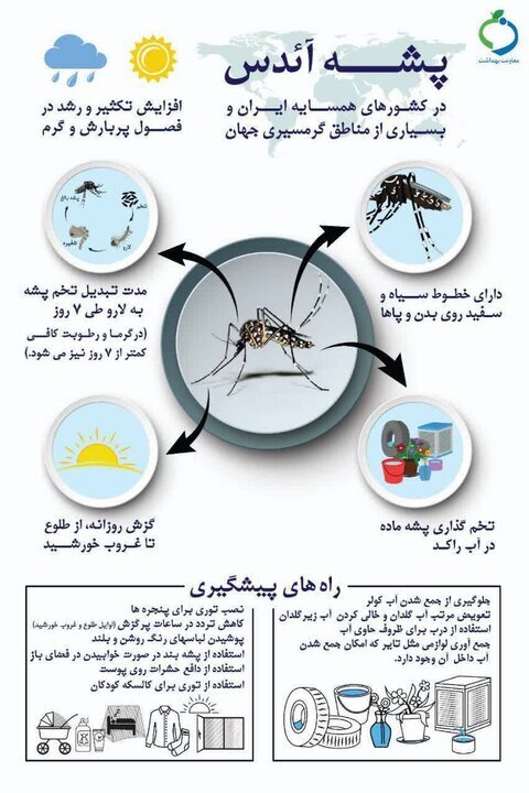 هشدارهای وزارت بهداشت در مورد یک حشره خطرناک
