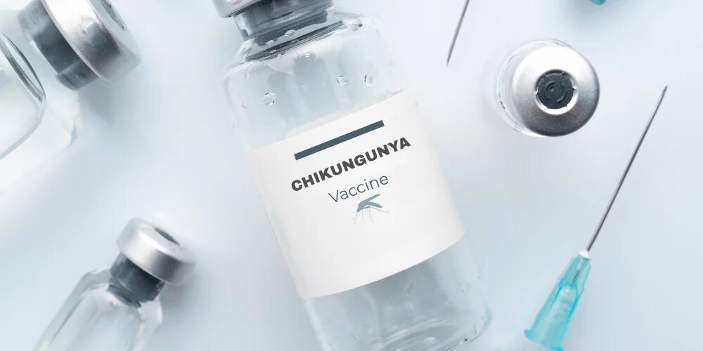 Chicungonia ؛ ویروسی که کمر شما را خم می کند/ کدام کشورها درگیر هستند؟