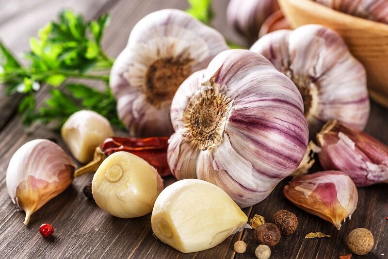 داشتن روده سالم با این ماده مغذی/ معرفی 4 ماده مغذی حاوی perbiotics