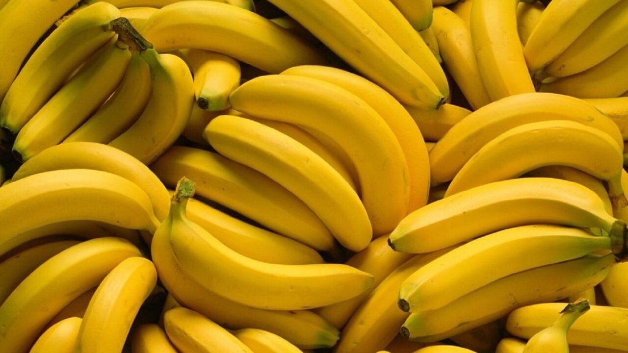 داشتن روده سالم با این ماده مغذی/ معرفی 4 ماده مغذی حاوی perbiotics