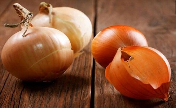 داشتن روده سالم با این ماده مغذی/ معرفی 4 ماده مغذی حاوی perbiotics